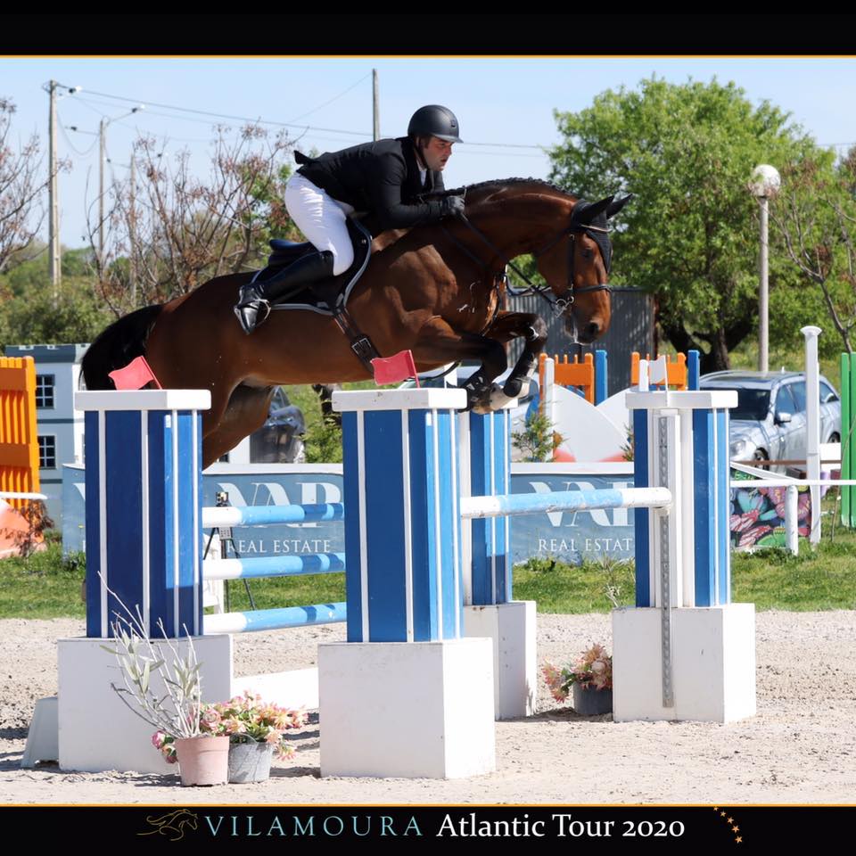 Lohoar Sport Horses